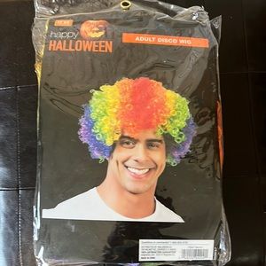 Adult rainbow wig
